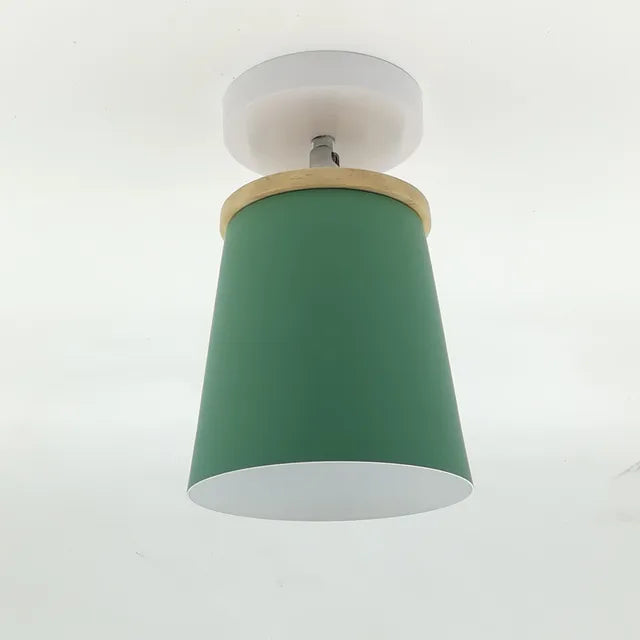 Ceiling Light | Adjustable Matte Iron Dome & E27 Compatible