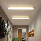 Ceiling Light | Integrated LED & Dimmable | With Remote Control