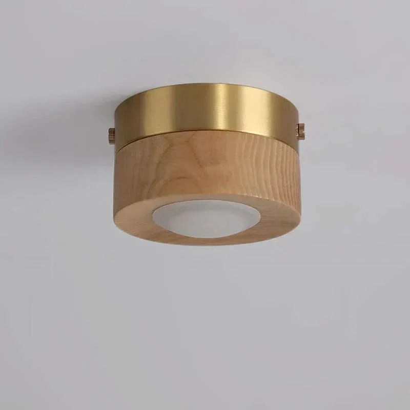 Ceiling Light | Integrated LED Spotlight & Walnut Finish