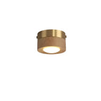 Ceiling Light | Integrated LED Spotlight & Walnut Finish