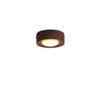Ceiling Light | Integrated LED Spotlight & Walnut Finish