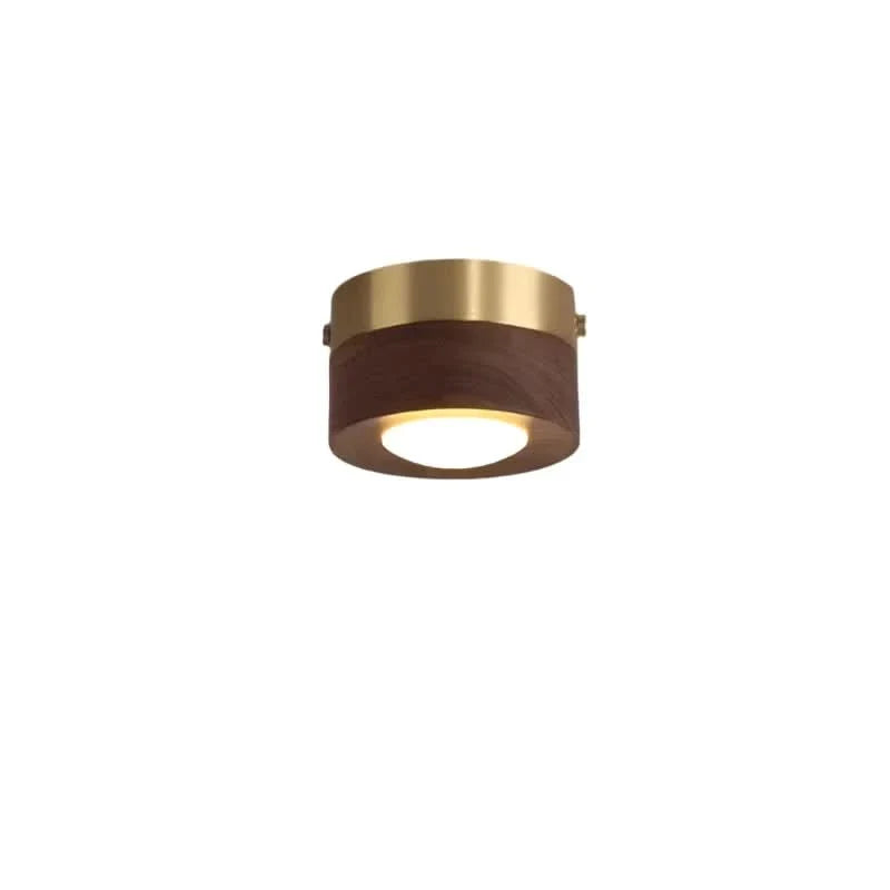 Ceiling Light | Integrated LED Spotlight & Walnut Finish