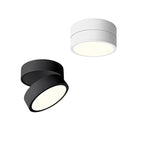 Ceiling Light | LED Adjustable & Rotating Head | 3 Color Temperatures