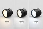 Ceiling Light | LED Adjustable & Rotating Head | 3 Color Temperatures