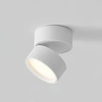 Ceiling Light | LED Adjustable & Rotating Head | 3 Color Temperatures