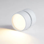 Ceiling Light | LED Adjustable & Rotating Head | 3 Color Temperatures