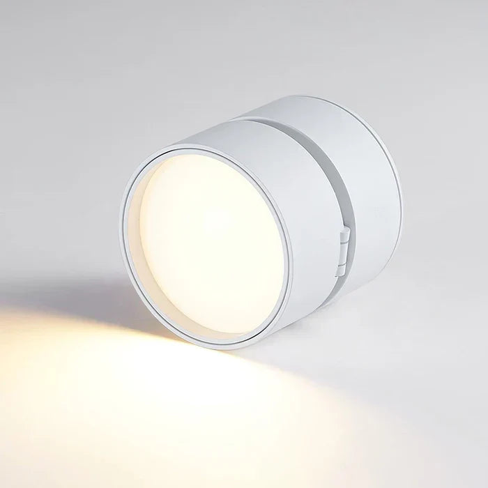 Ceiling Light | LED Adjustable & Rotating Head | 3 Color Temperatures