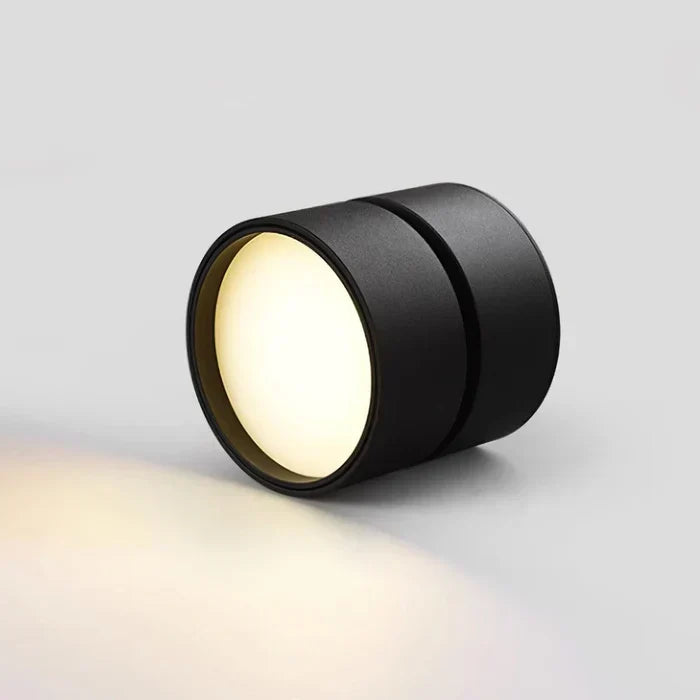 Ceiling Light | LED Adjustable & Rotating Head | 3 Color Temperatures