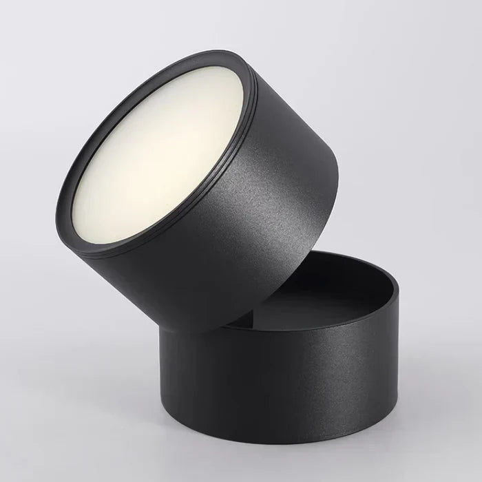 Ceiling Light | LED Adjustable & Rotating Head | 3 Color Temperatures