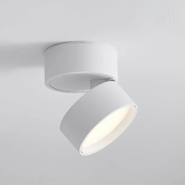 Ceiling Light | LED Adjustable & Rotating Head | 3 Color Temperatures