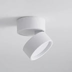 Ceiling Light | LED Adjustable & Rotating Head | 3 Color Temperatures