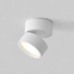 Ceiling Light | LED Adjustable & Rotating Head | 3 Color Temperatures