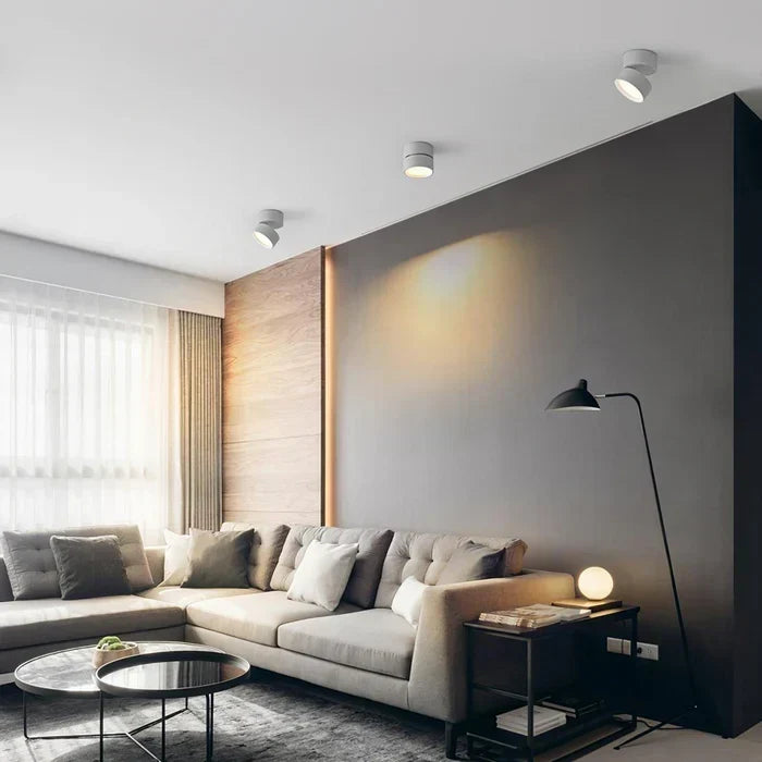 Ceiling Light | LED Adjustable & Rotating Head | 3 Color Temperatures