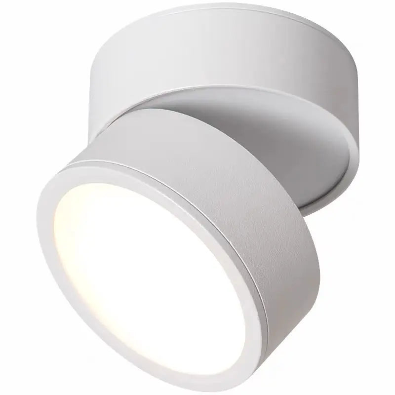 Ceiling Light | LED Adjustable & Rotating Head | 3 Color Temperatures