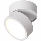 Ceiling Light | LED Adjustable & Rotating Head | 3 Color Temperatures