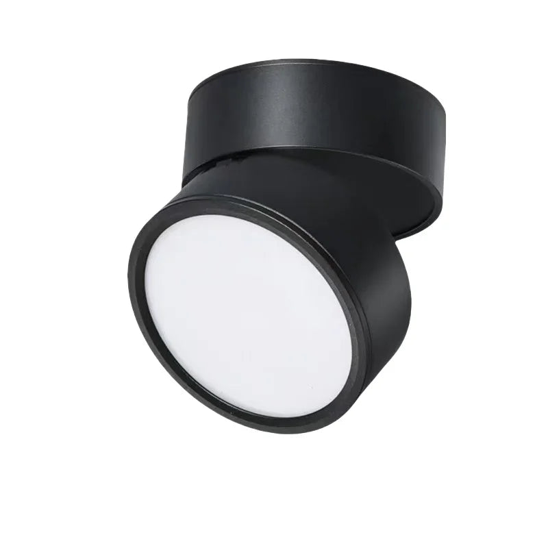 Ceiling Light | LED Adjustable & Rotating Head | 3 Color Temperatures