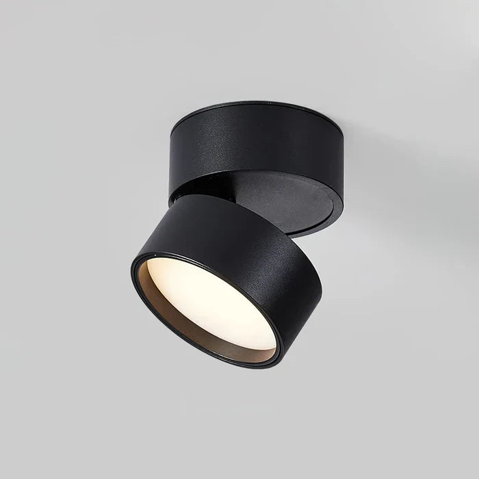Ceiling Light | LED Adjustable & Rotating Head | 3 Color Temperatures