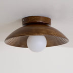 Ceiling Light | Round Globe, Metal Canopy & Dimmable | 27 cm