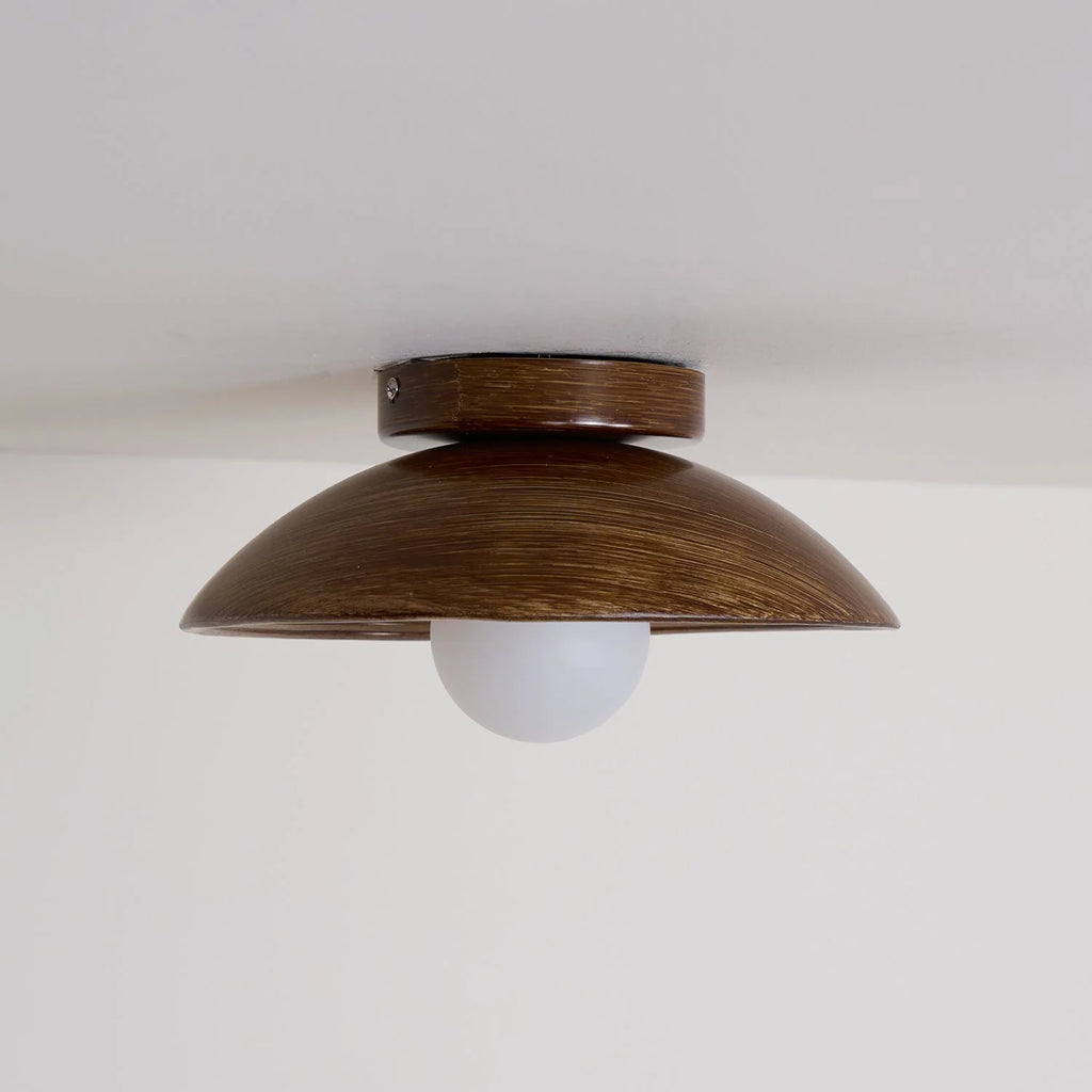 Ceiling Light | Round Globe, Metal Canopy & Dimmable | 27 cm