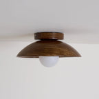 Ceiling Light | Round Globe, Metal Canopy & Dimmable | 27 cm