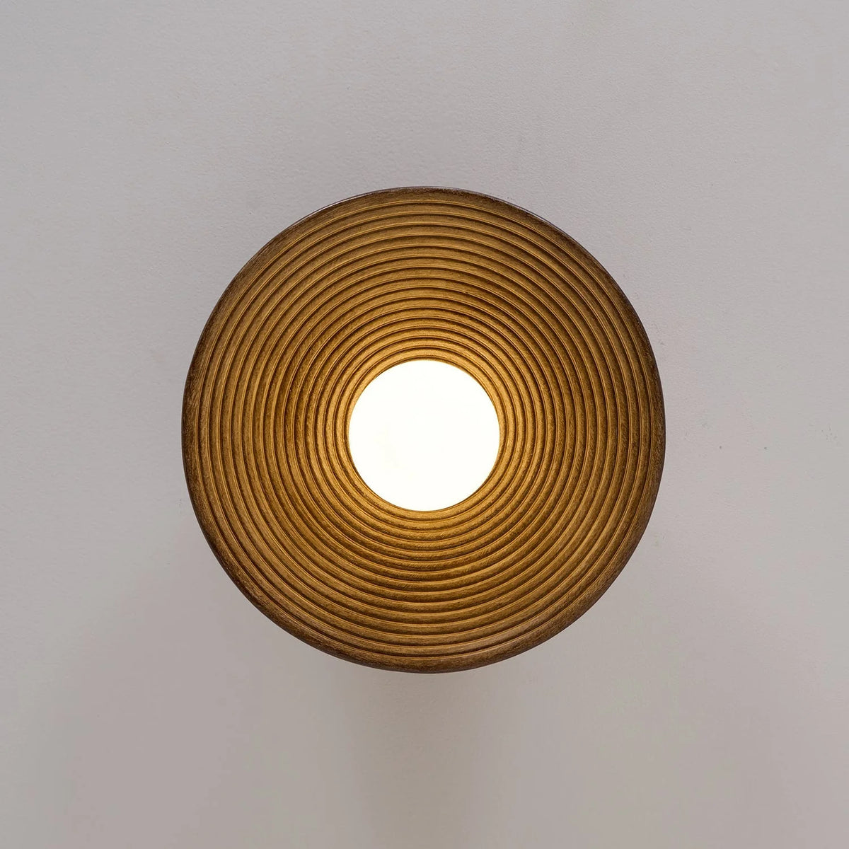 Ceiling Light | Round Globe, Metal Canopy & Dimmable | 27 cm
