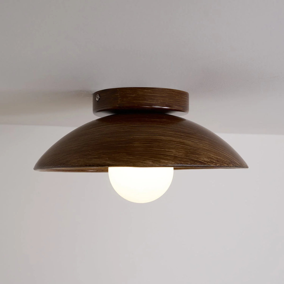 Ceiling Light | Round Globe, Metal Canopy & Dimmable | 27 cm