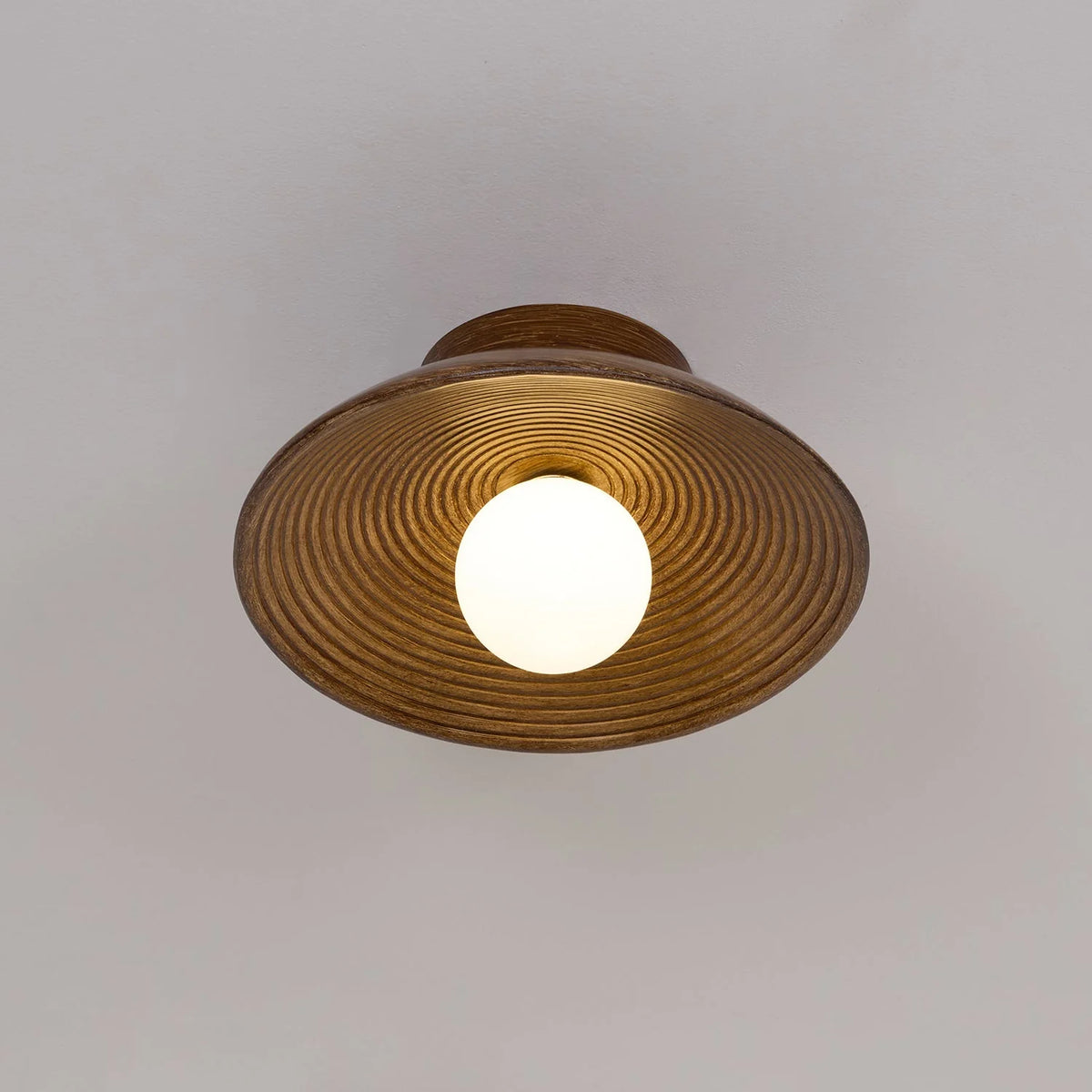 Ceiling Light | Round Globe, Metal Canopy & Dimmable | 27 cm