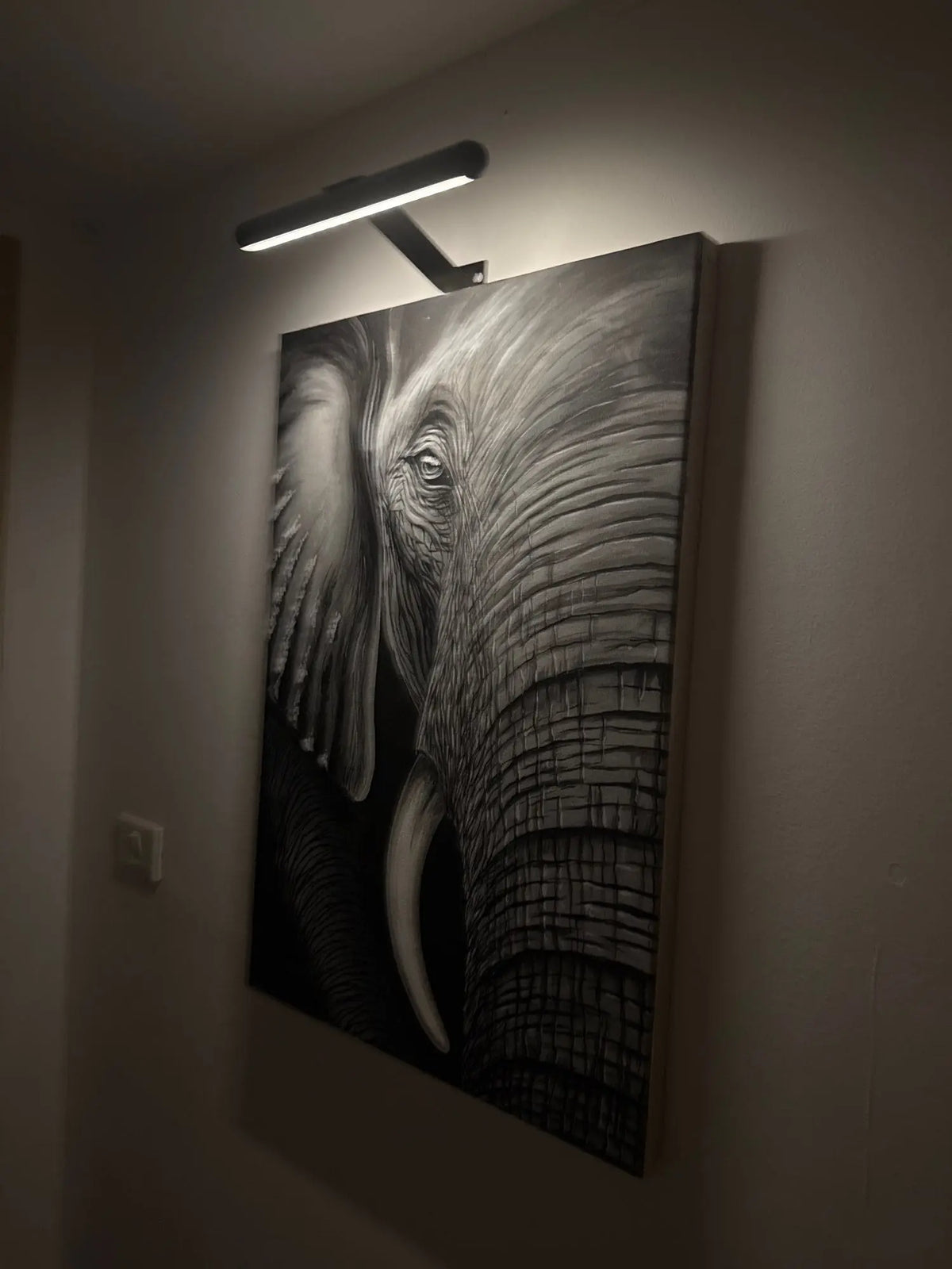 Clip-Mount LED Picture Light