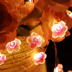 Decorative String Lights | Warm Pink LEDs & Battery-Operated | 3 m Cable