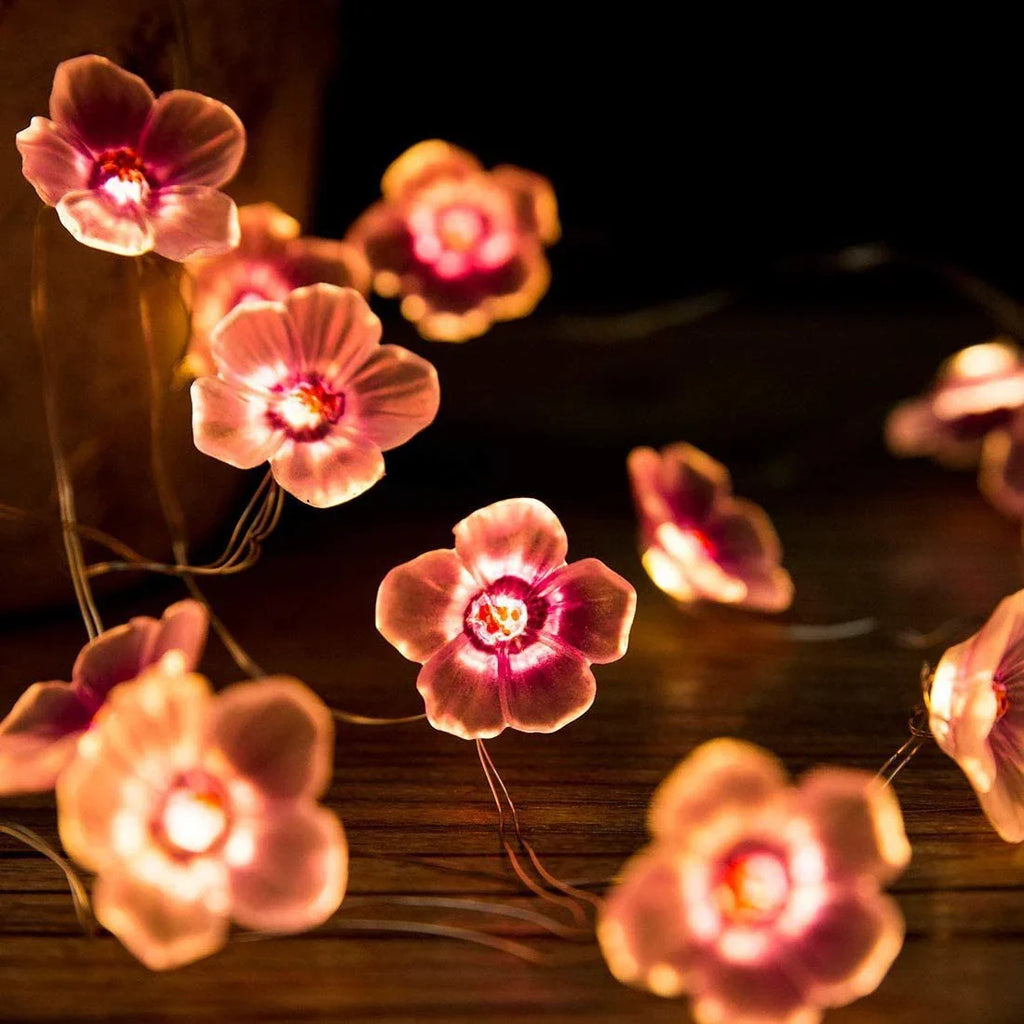 Decorative String Lights | Warm Pink LEDs & Battery-Operated | 3 m Cable