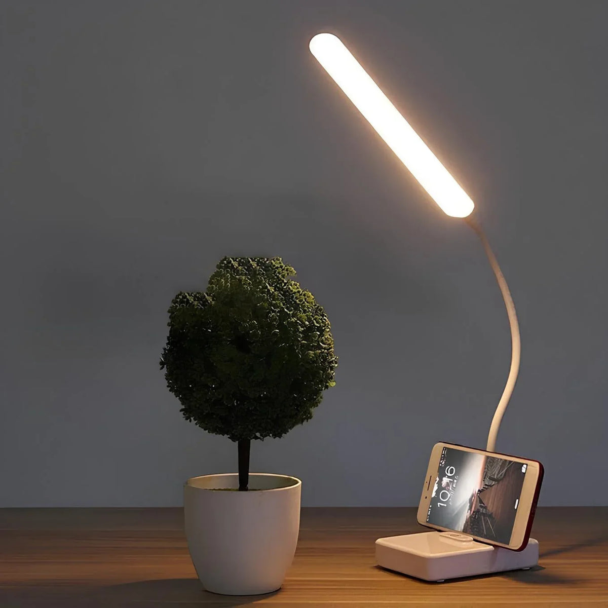Desk Lamp | Flexible Arm & Dimmable | USB Rechargeable & Plug-In