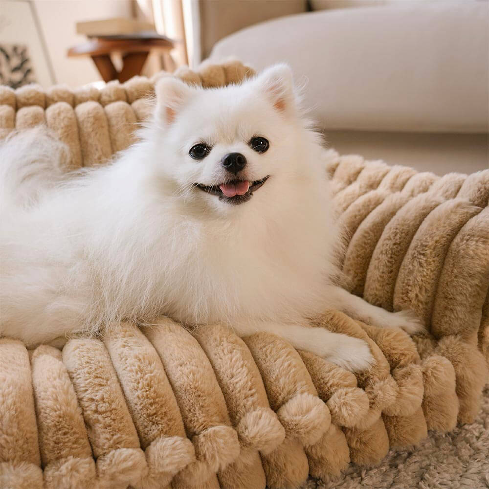 Dog Bed | Orthopedic Memory Foam & Machine-Washable Cover