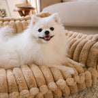 Dog Bed | Orthopedic Memory Foam & Machine-Washable Cover