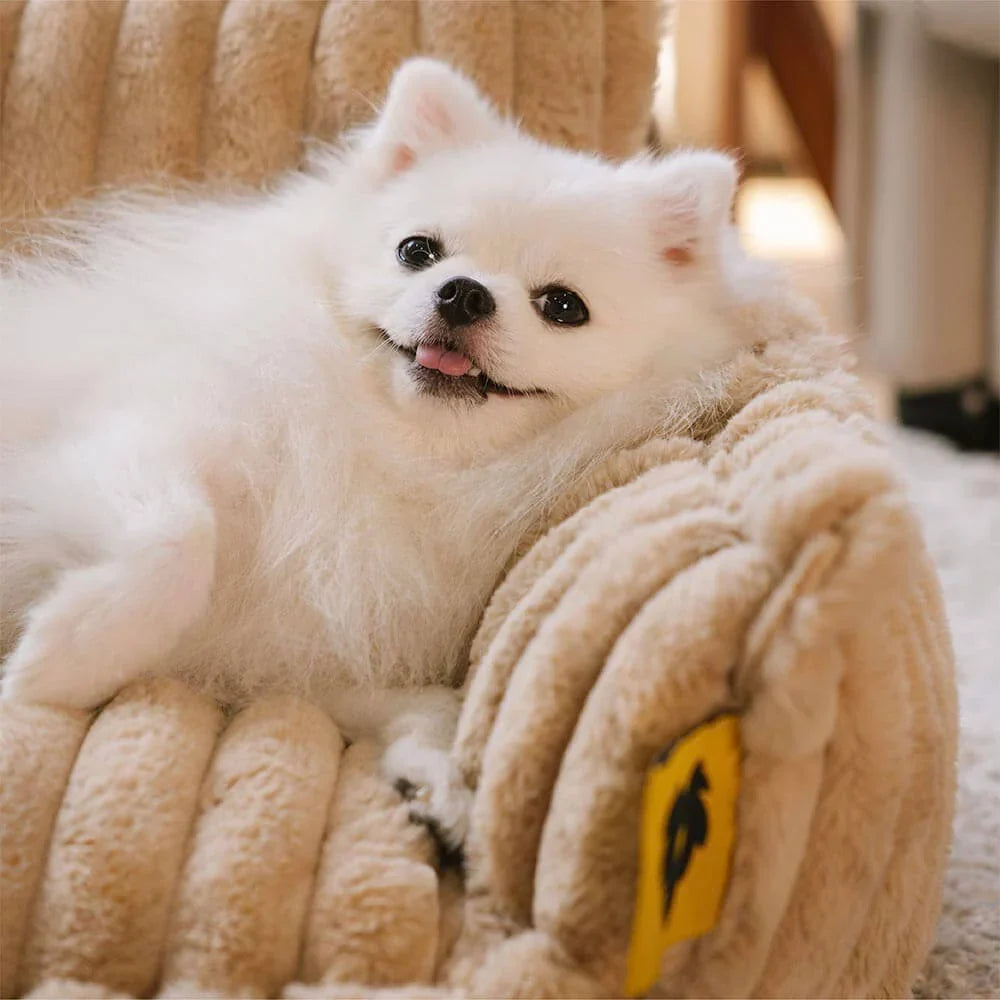 Dog Bed | Orthopedic Memory Foam & Machine-Washable Cover