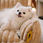 Dog Bed | Orthopedic Memory Foam & Machine-Washable Cover