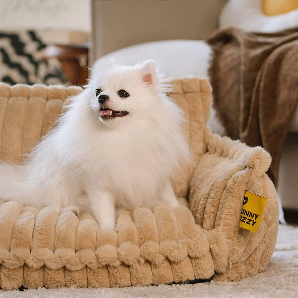 Dog Bed | Orthopedic Memory Foam & Machine-Washable Cover