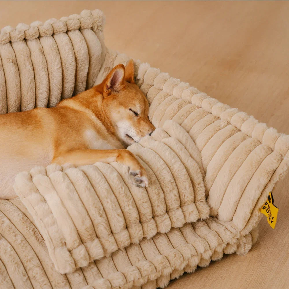 Dog Bed | Orthopedic Memory Foam & Machine-Washable Cover