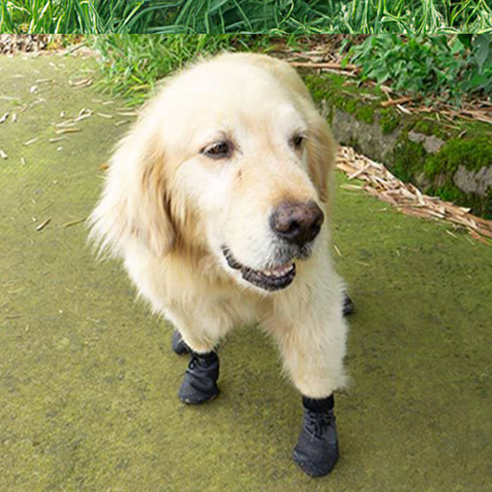 Dog Boots | Waterproof & Breathable Non-Slip Rubber Sole
