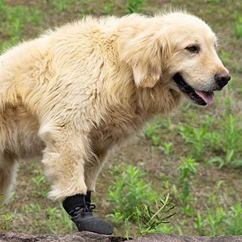 Dog Boots | Waterproof & Breathable Non-Slip Rubber Sole