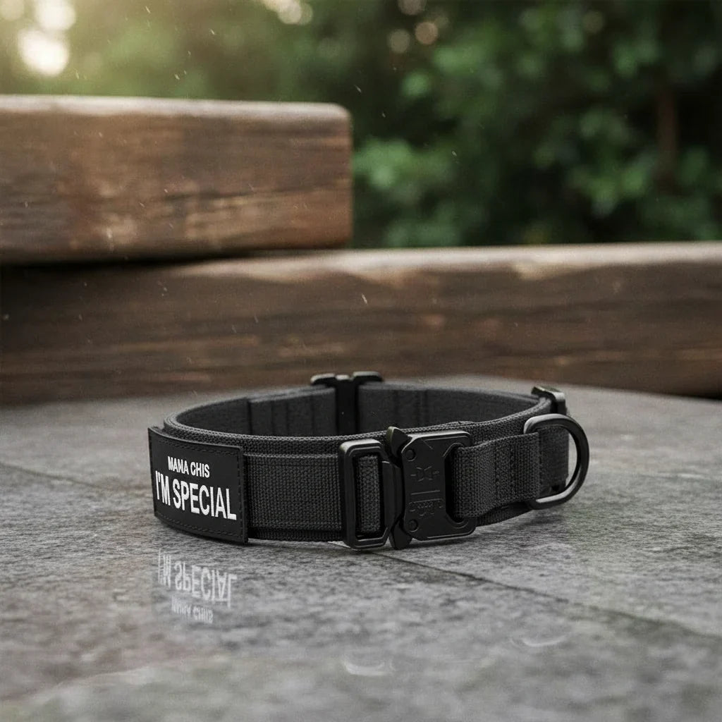Dog Collar | Durable Nylon, Padded Lining & Control Handle | Adjustable M–XL