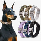 Dog Collar | Durable Nylon, Padded Lining & Control Handle | Adjustable M–XL