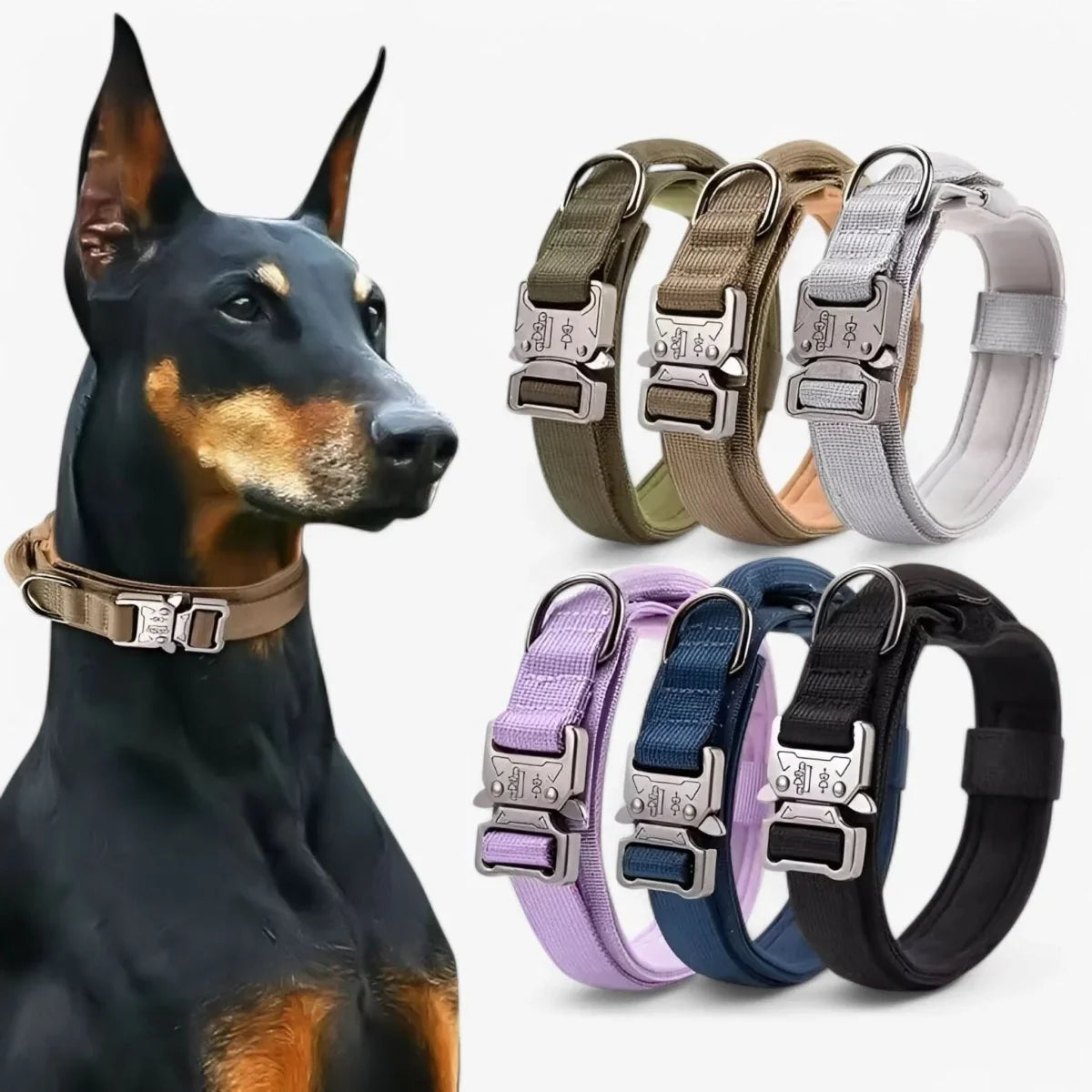 Dog Collar | Durable Nylon, Padded Lining & Control Handle | Adjustable M–XL