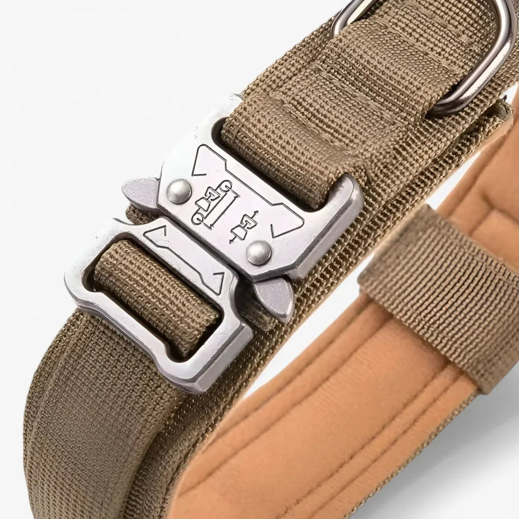 Dog Collar | Durable Nylon, Padded Lining & Control Handle | Adjustable M–XL