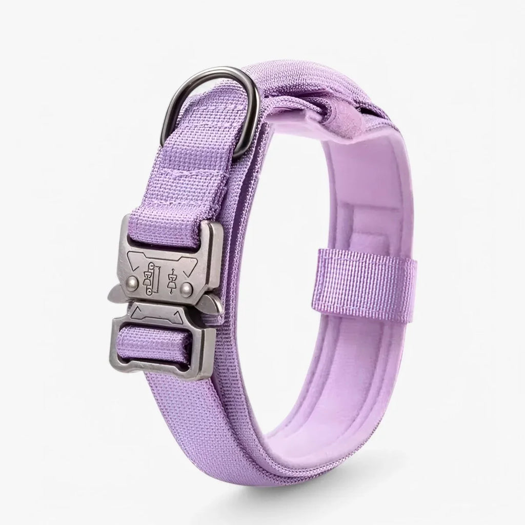 Dog Collar | Durable Nylon, Padded Lining & Control Handle | Adjustable M–XL