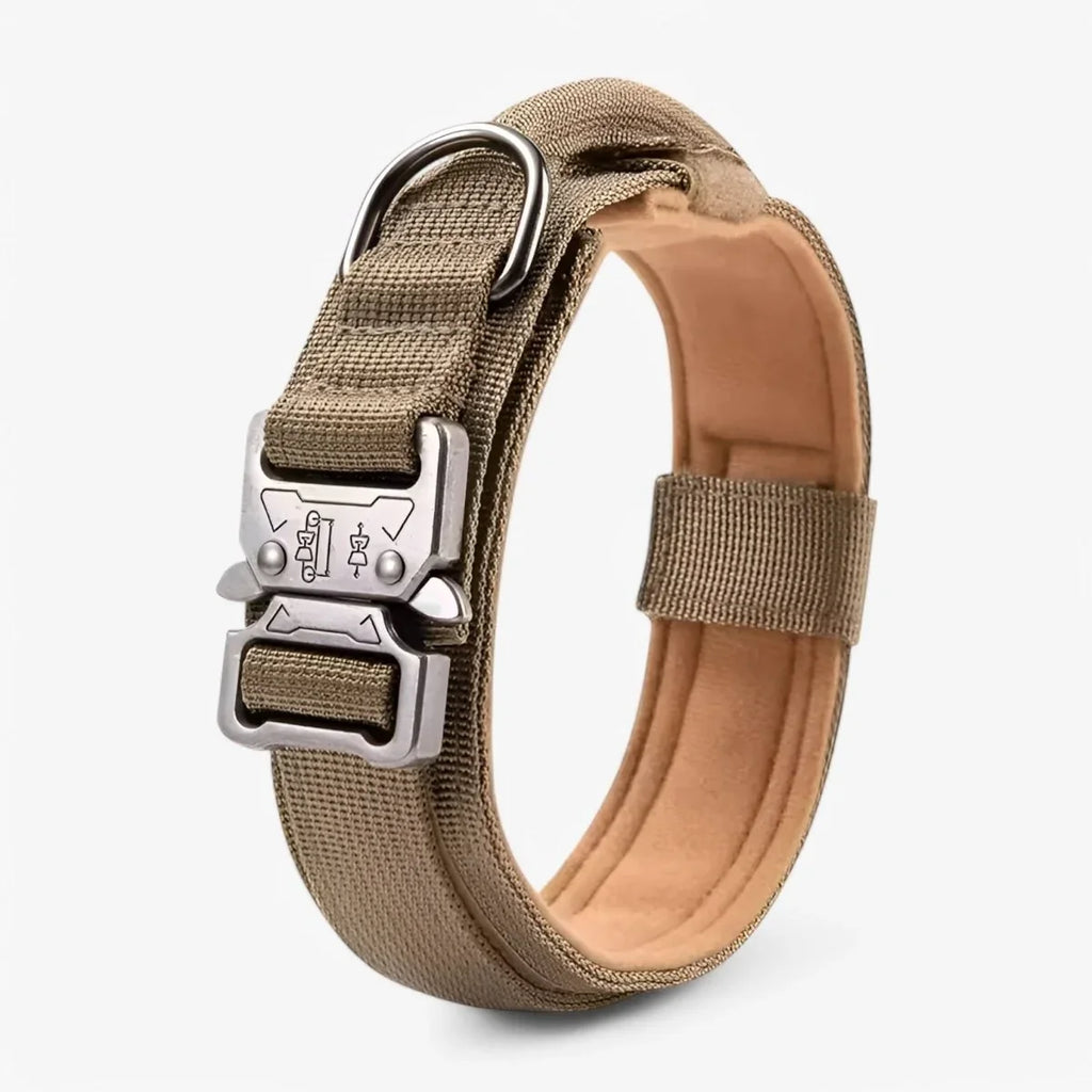 Dog Collar | Durable Nylon, Padded Lining & Control Handle | Adjustable M–XL