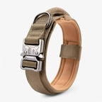 Dog Collar | Durable Nylon, Padded Lining & Control Handle | Adjustable M–XL