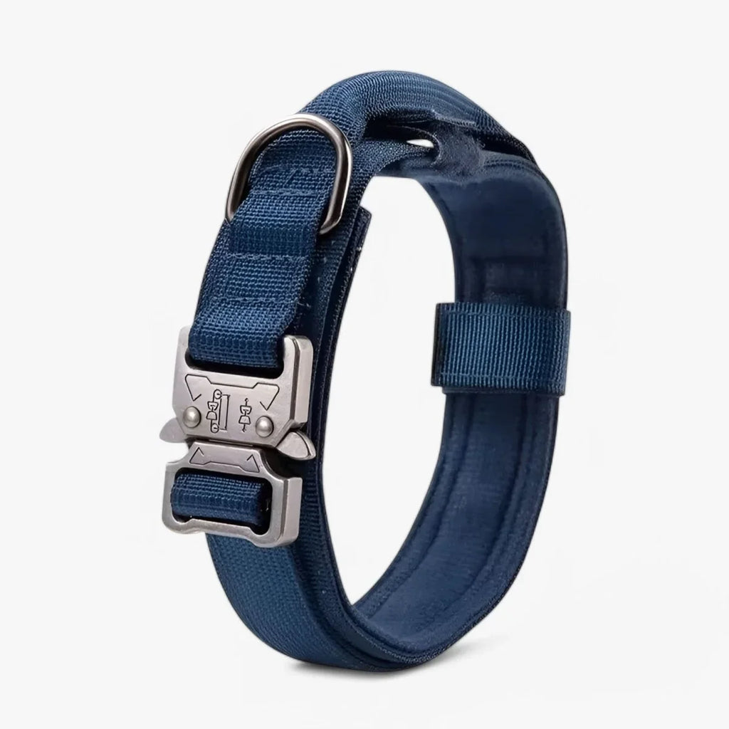 Dog Collar | Durable Nylon, Padded Lining & Control Handle | Adjustable M–XL
