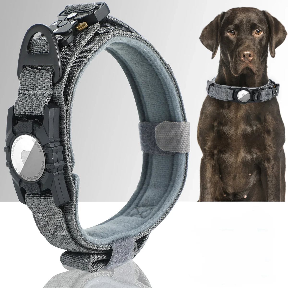 Dog Collar | Integrated AirTag Holder & Robust Handle
