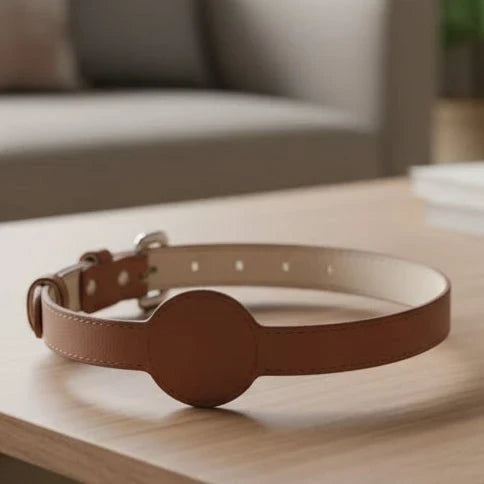 Dog Collar | Integrated AirTag Holder & Waterproof Silicone