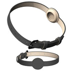 Dog Collar | Integrated AirTag Holder & Waterproof Silicone
